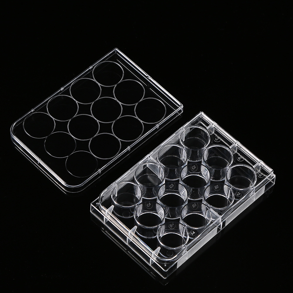 5 Stuks Polystyreen 12 Put Pet - Medical Wellness & Spa Werona recensie en prijs